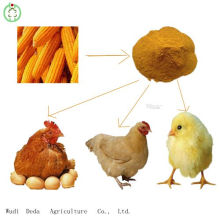 Горячие продажи 60% желтой кукурузной глютеновой муки из курицы